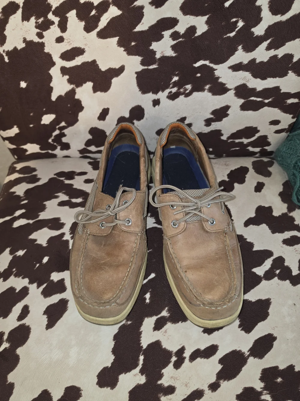 Men's Sperry Boat Shoes